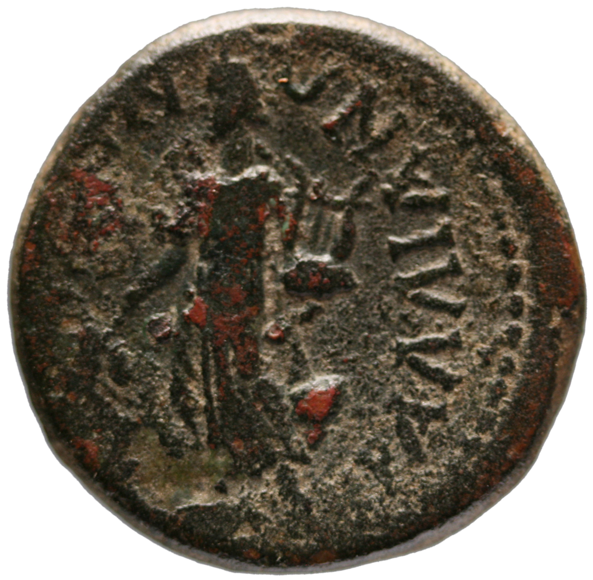 Tralles: Domitian von Domitianus