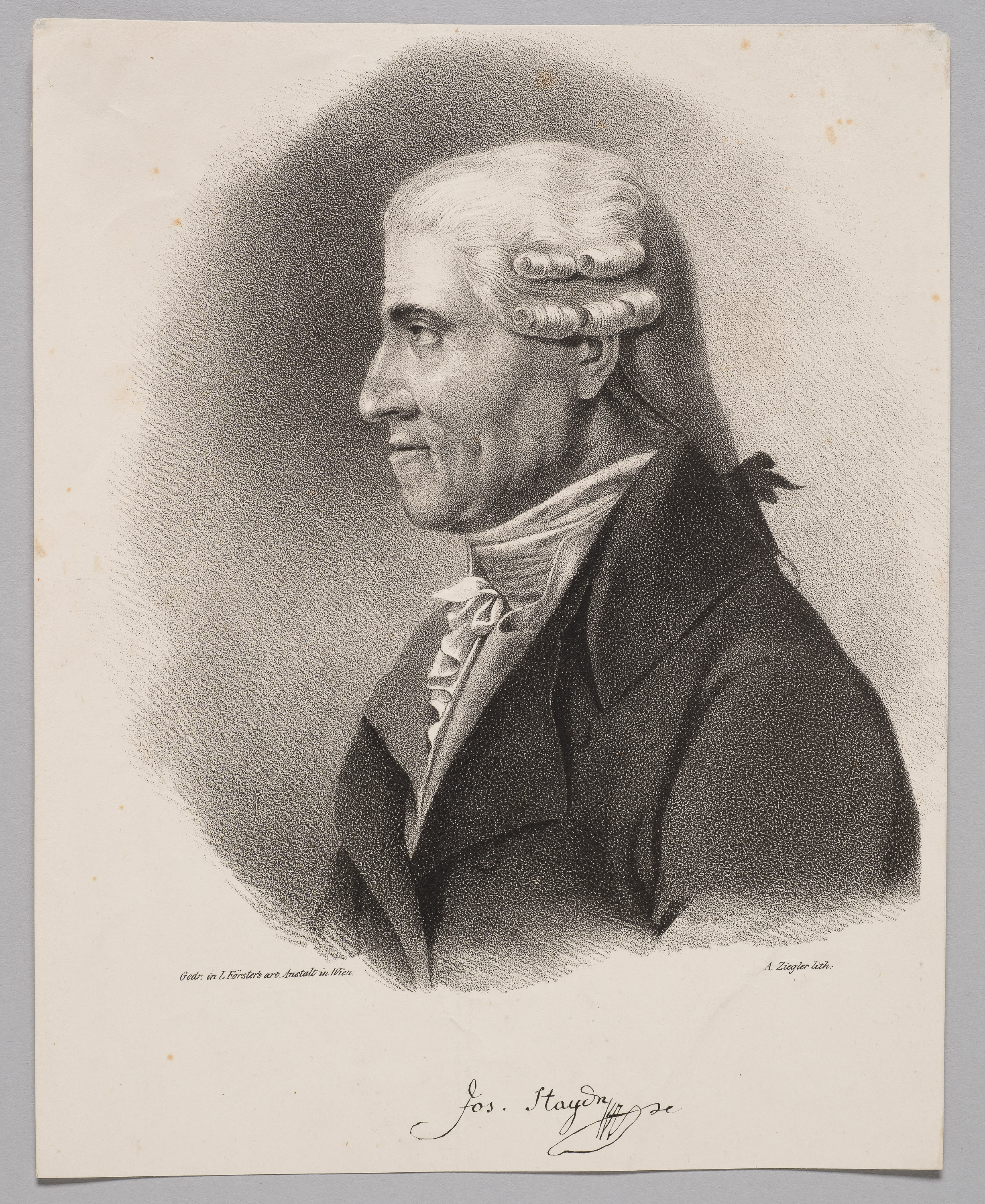 Joseph Haydn von Anton Ziegler