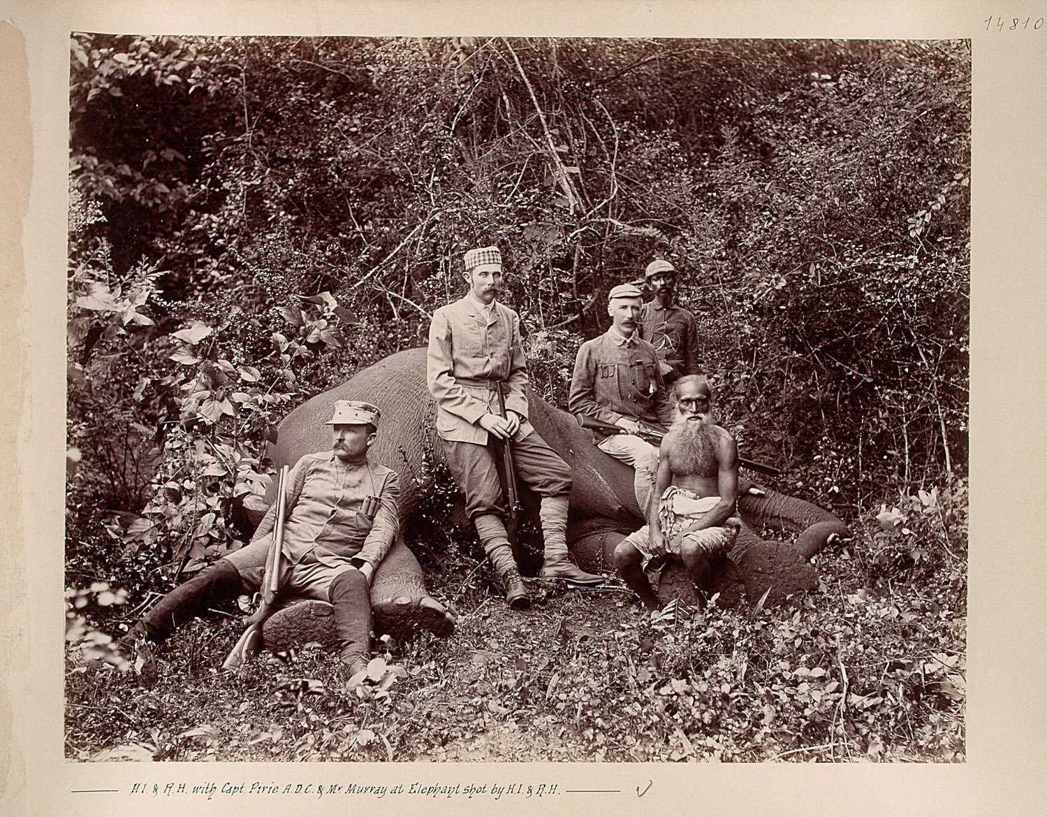 Sr k.u.k. Hoheit mit Mr. Pirie u. Mr. Murray beim erlegten Elephanten von Charles Kerr
