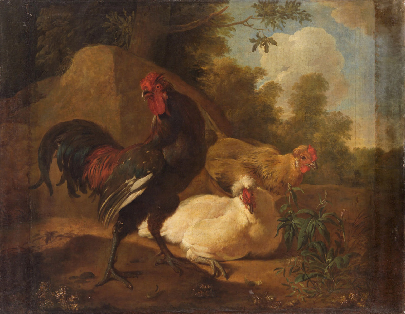 Hühner von Melchior d’ Hondecoeter