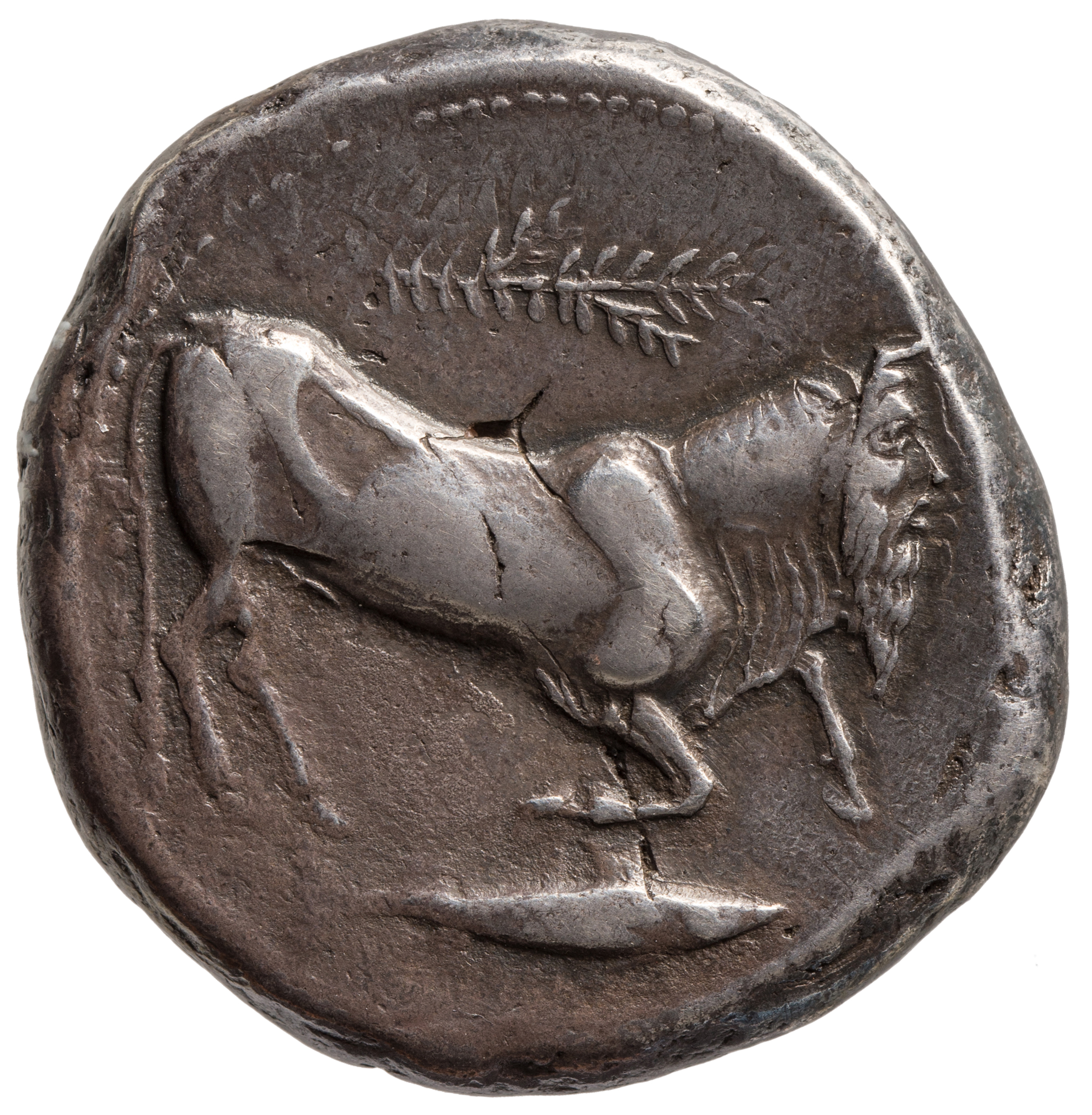 Kunsthistorisches Museum: Katania