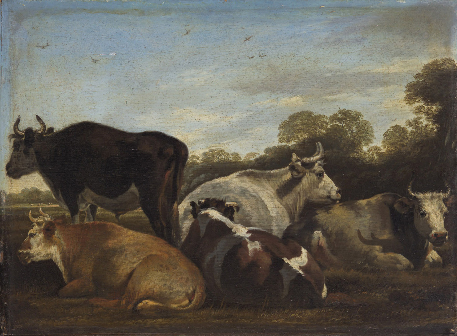 Kühe, Cornelis Saftleven, 1635-1665