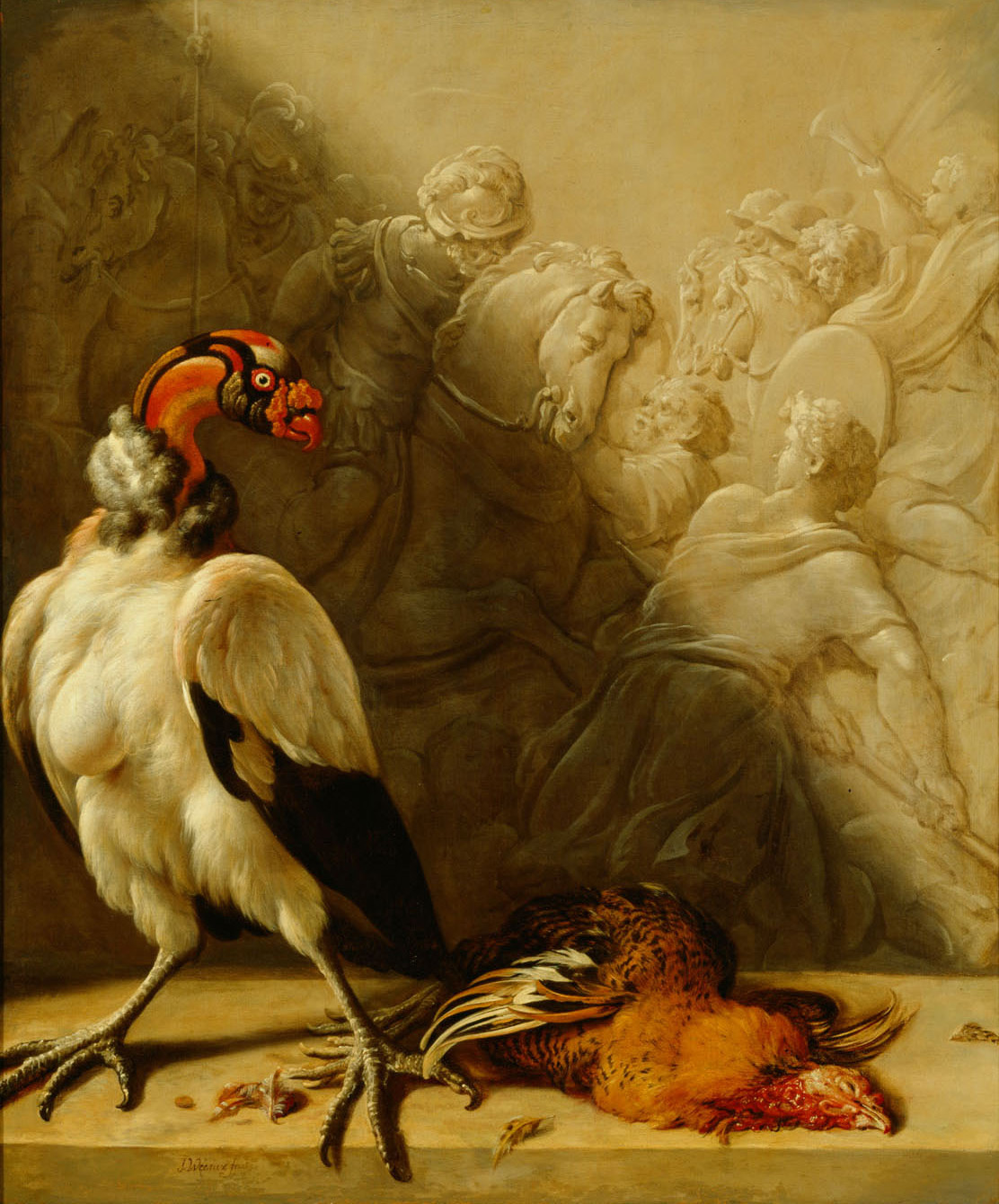 Südamerikanischer Königsgeier, Jan Weenix, 1695-1705