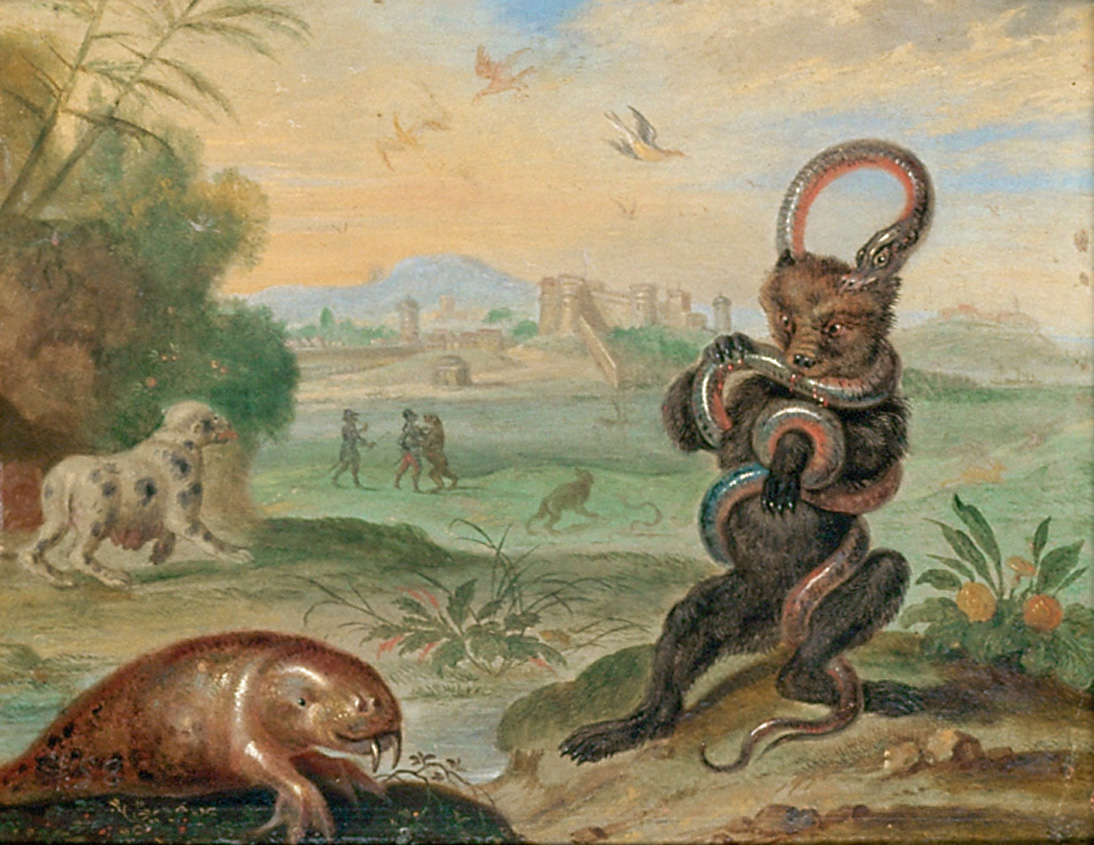 Ansichten aus den vier Weltteilen mit Szenen von Tieren: Puerto Rico, Ferdinand van Kessel, 1650-1700