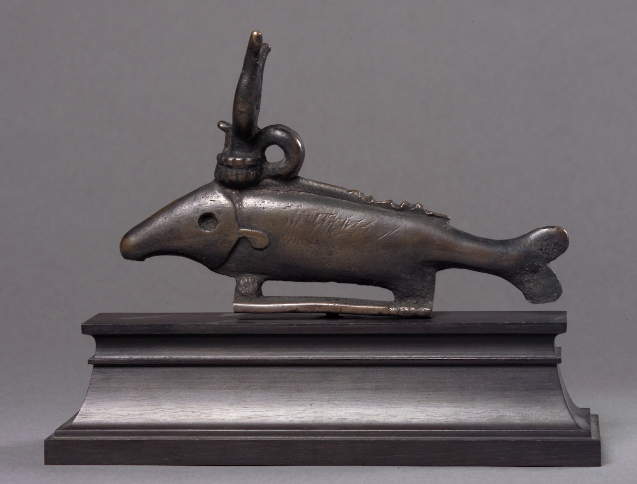 Oxyrhynchus-Fisch