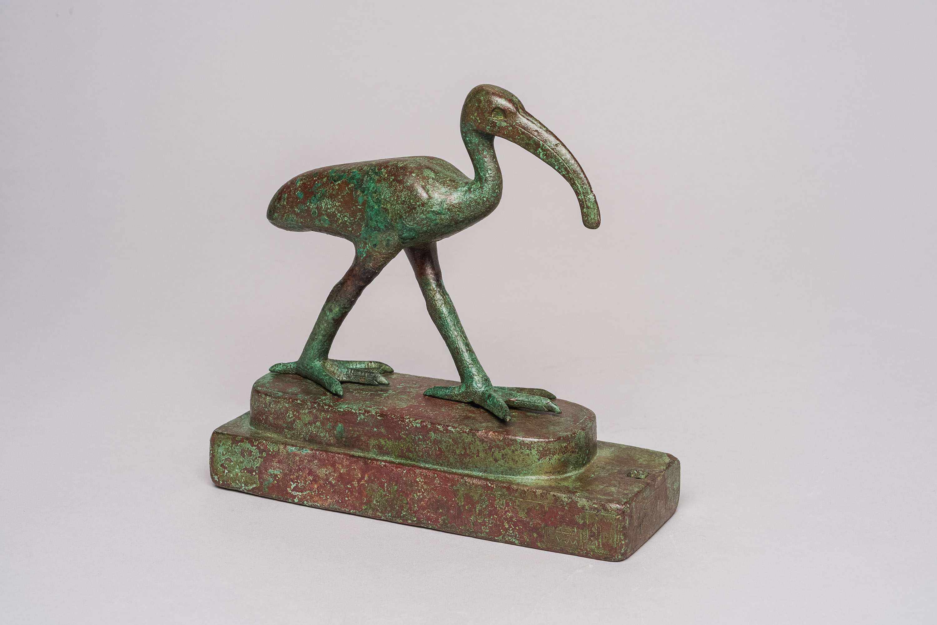 Schreitender Ibis