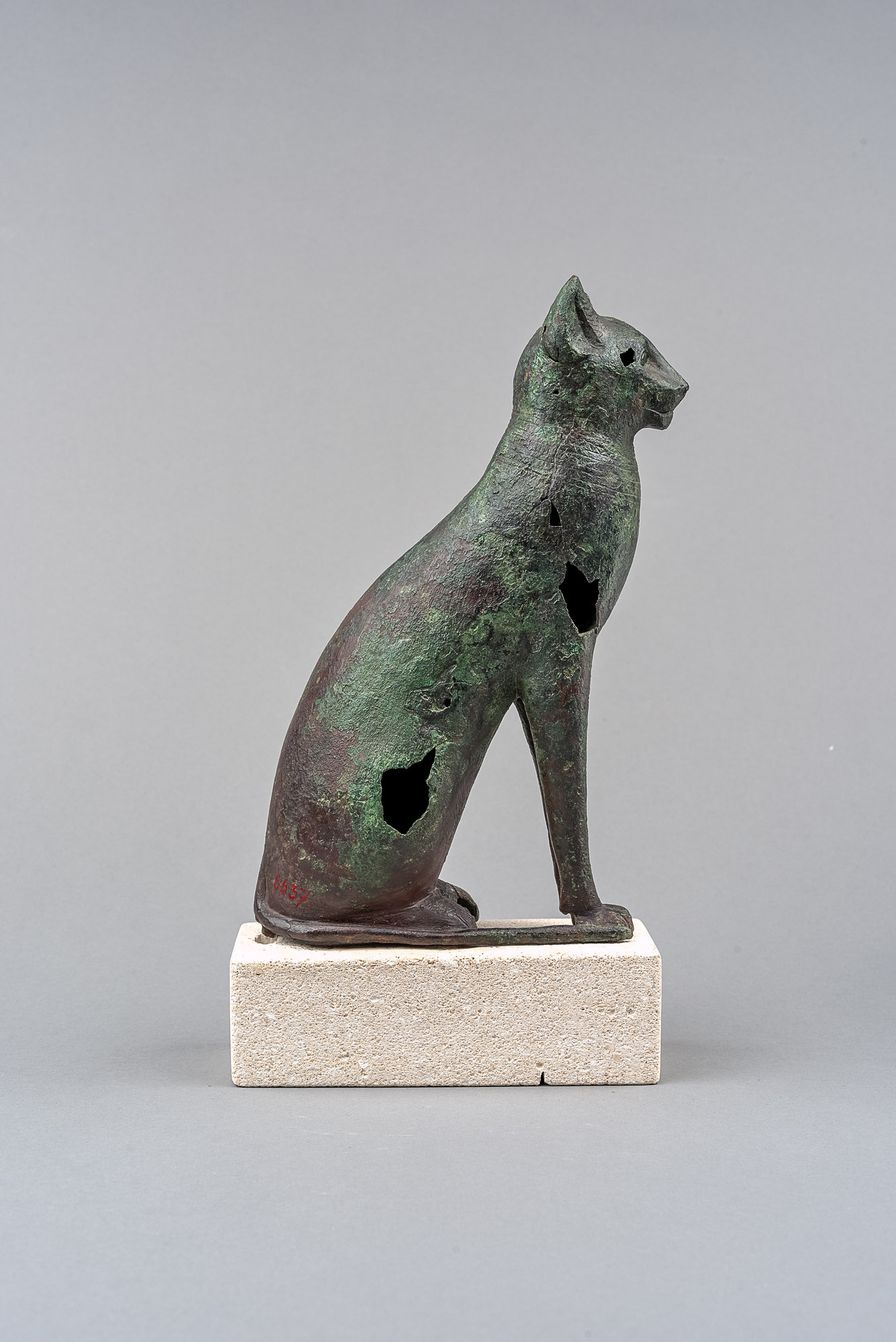 Sitzende Katze