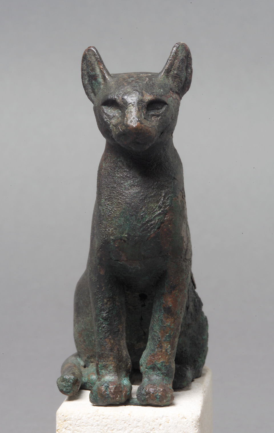 Katze