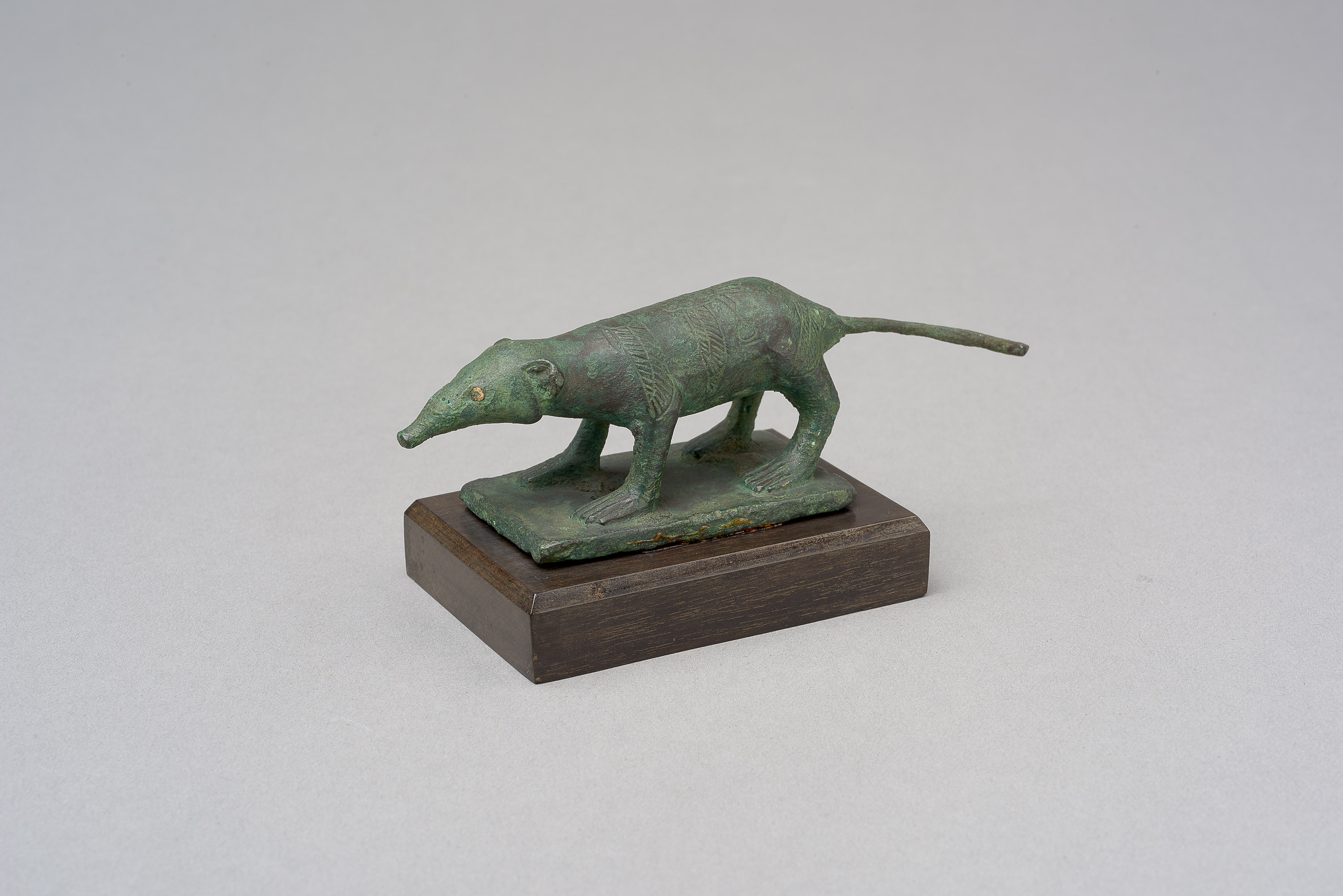 Spitzmaus