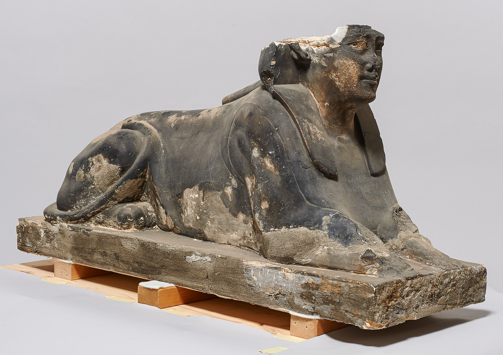 Serapeumssphinx