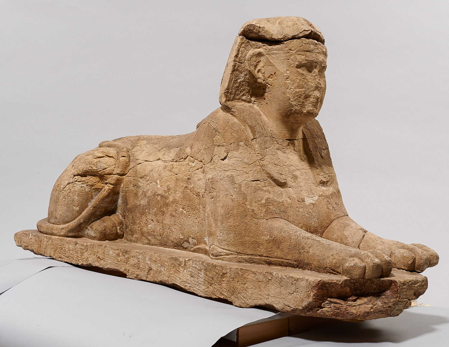 Serapeumssphinx