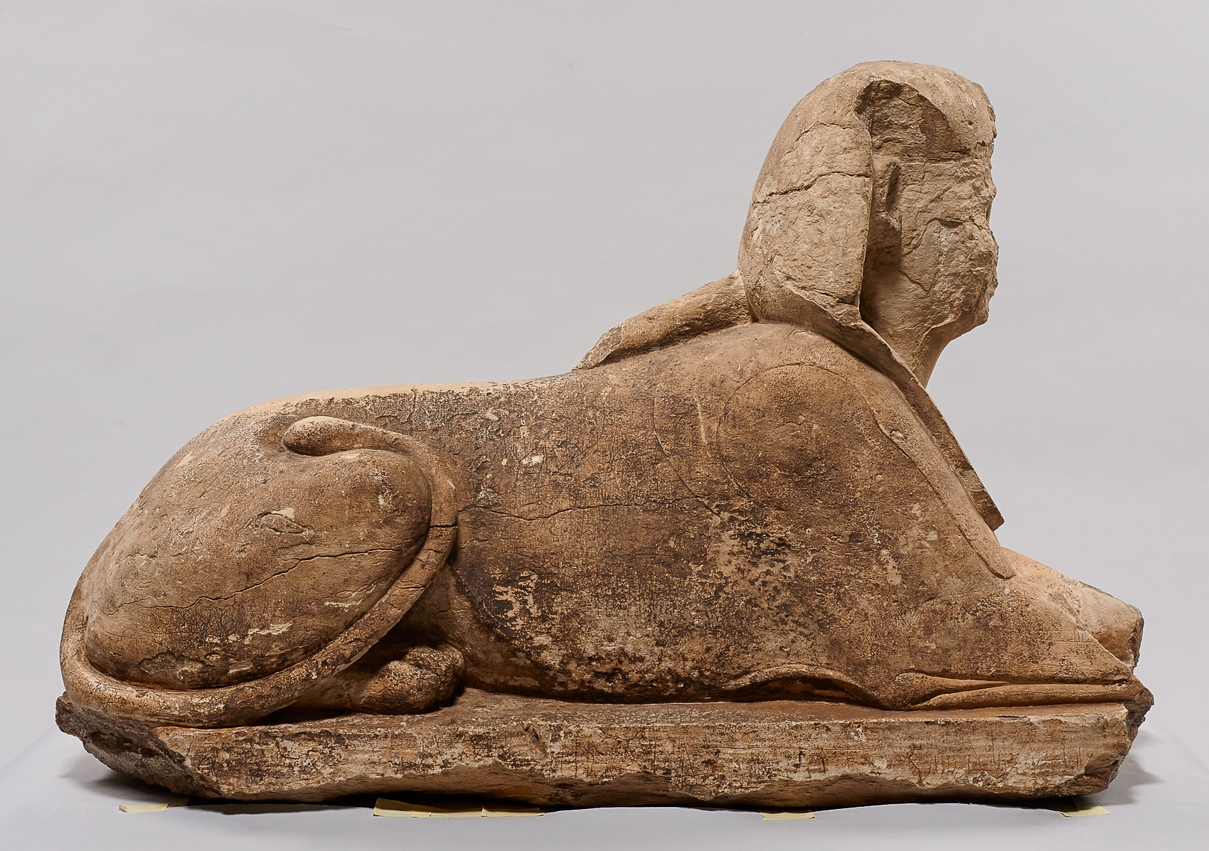 Serapeumssphinx