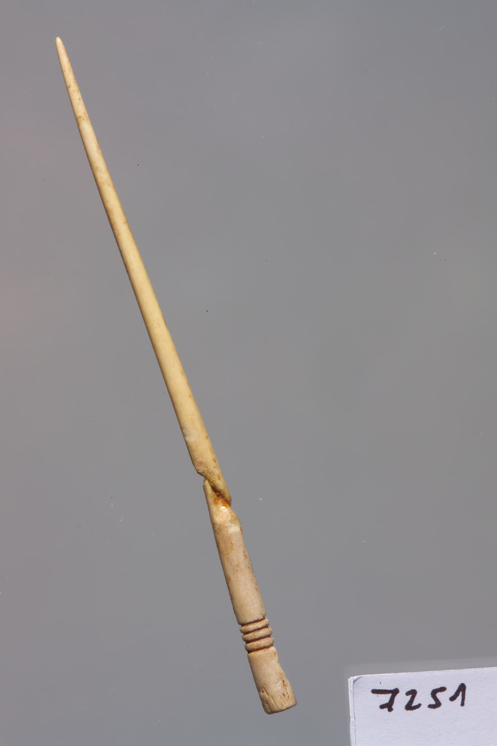 Kunsthistorisches Museum Nadel