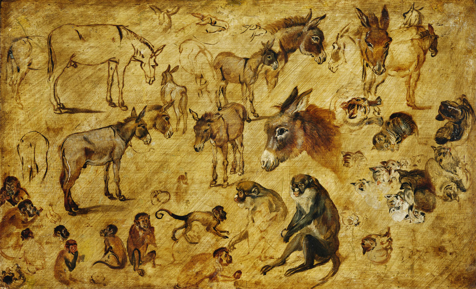 Tierstudie (Esel, Katzen, Affen), Jan Brueghel d. Ä., 1614-1618