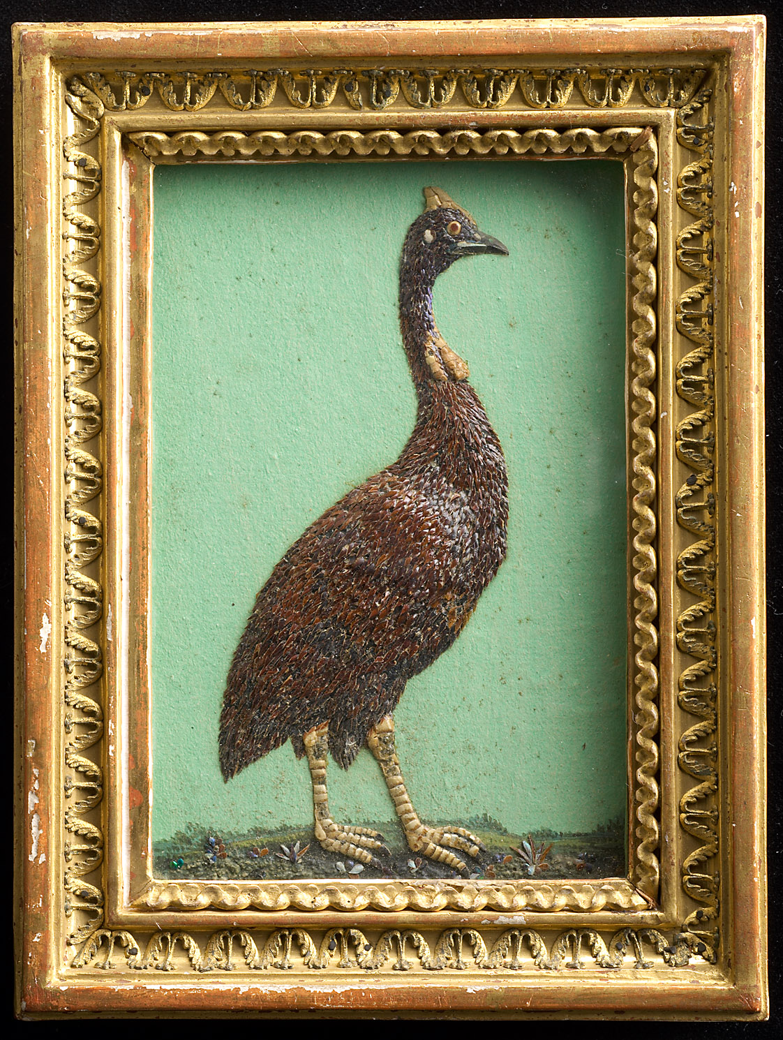 Helmperlhuhn, 1605-1615