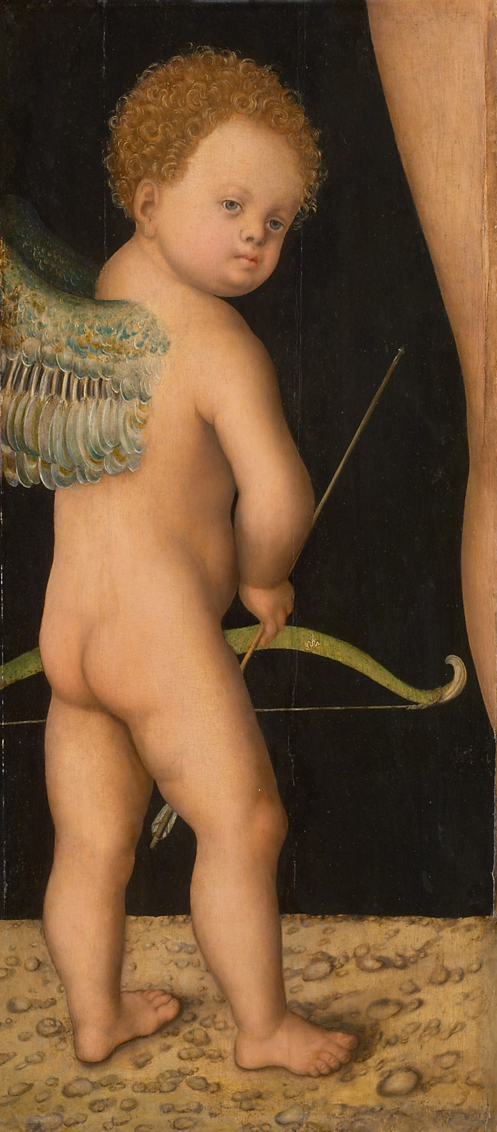 Amor, Lucas Cranach d. Ä., 1520-1540