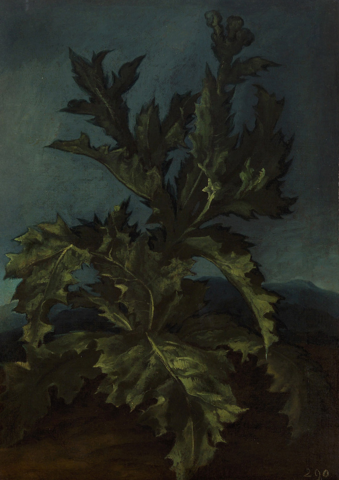 Distel, Carlo Dolci, 1616-1686