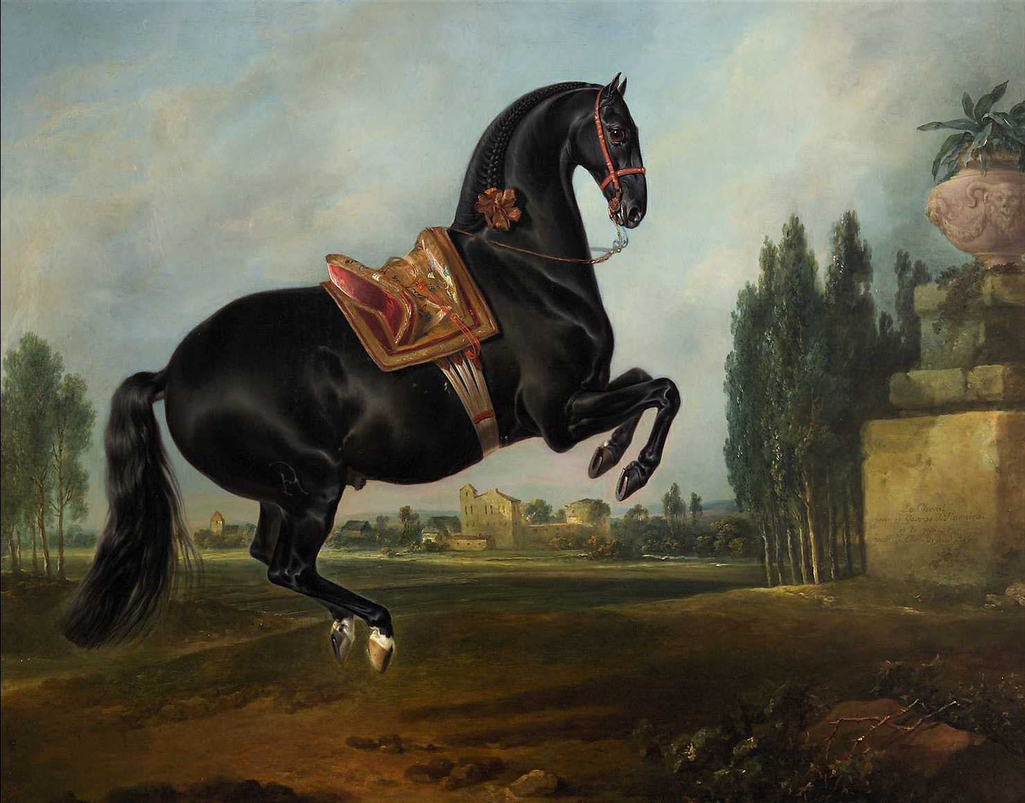 Kladruber Hengst "Gitano", Johann Georg de Hamilton, 1716-1726