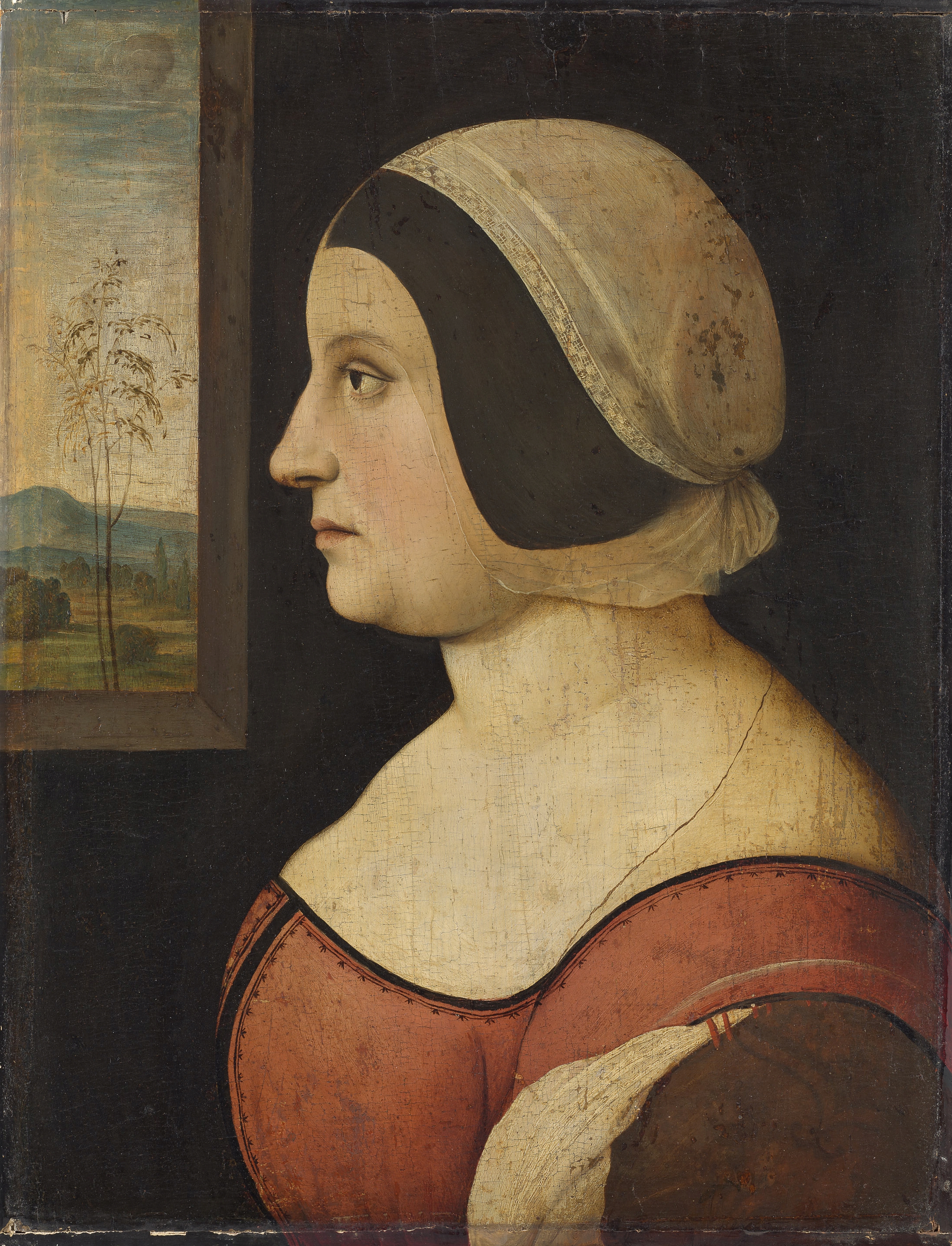 Weibliches Bildnis, Amico Aspertini, 1500-1505