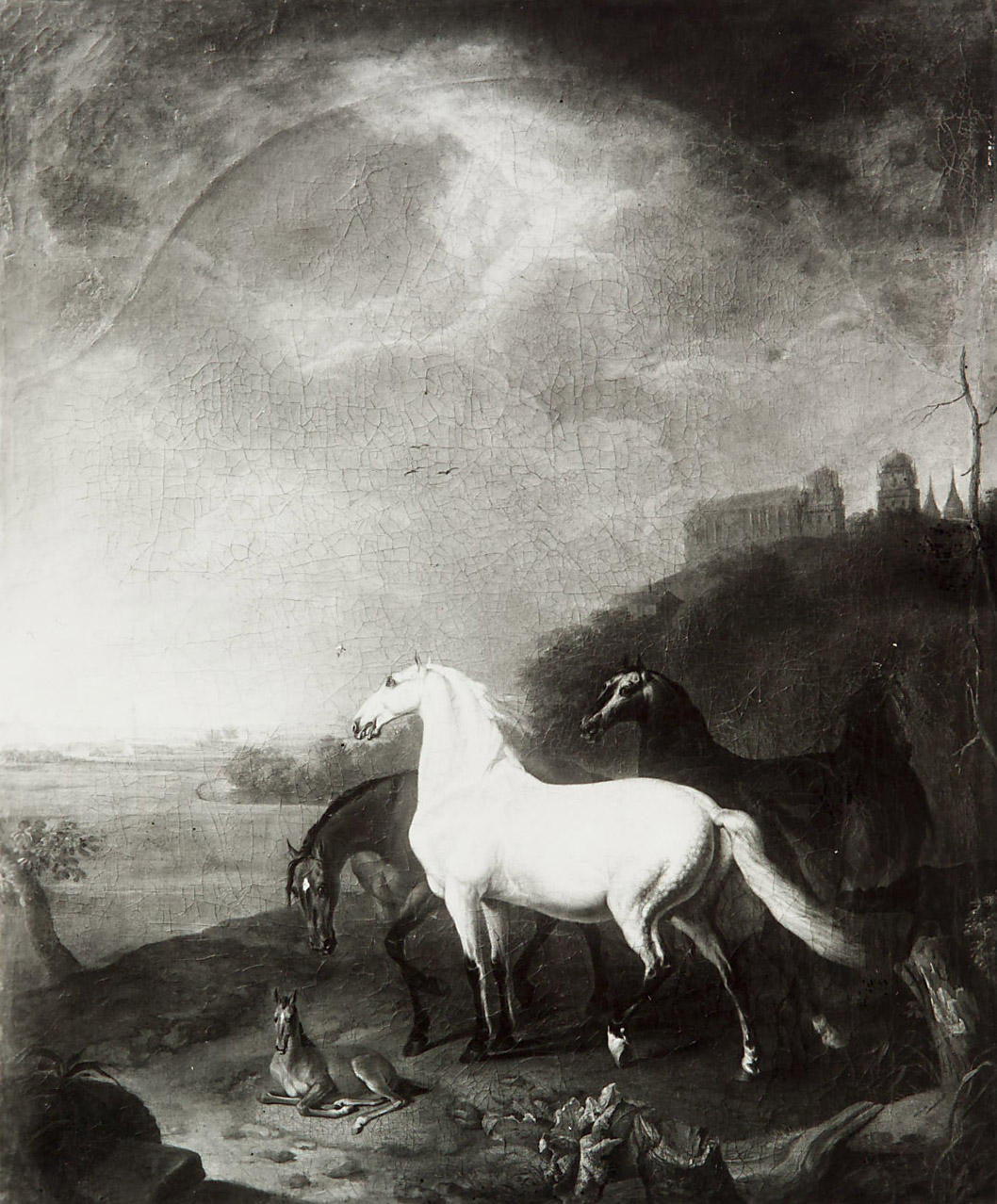 Pferde auf der Weide, Johann Georg de Hamilton, 1680-1737