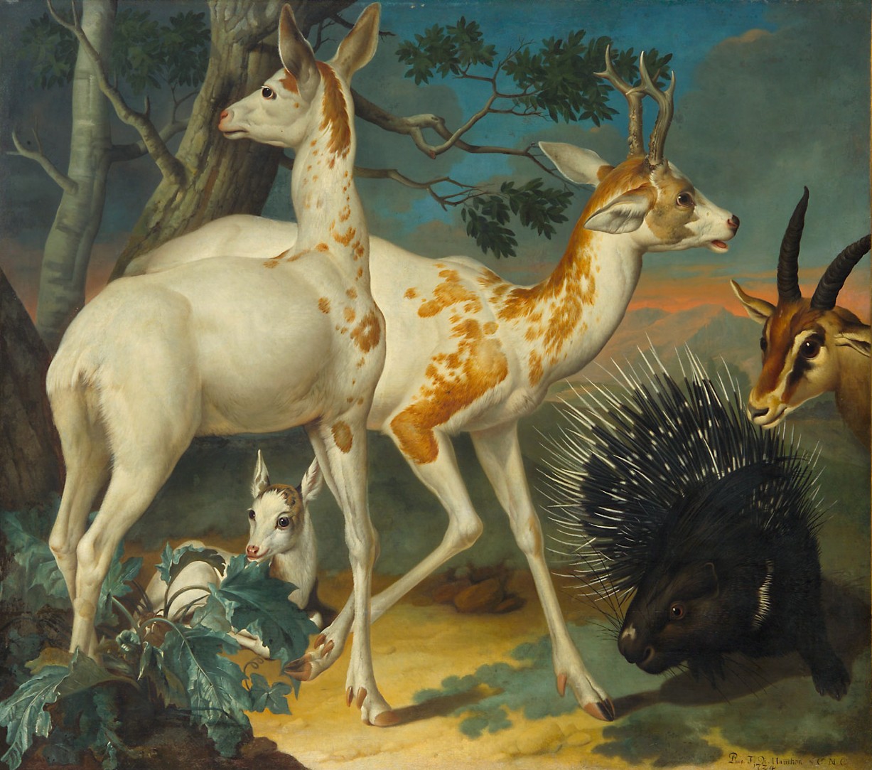 Weiße gefleckte Rehe und ein Stachelschwein, Philipp Ferdinand de Hamilton, 1724