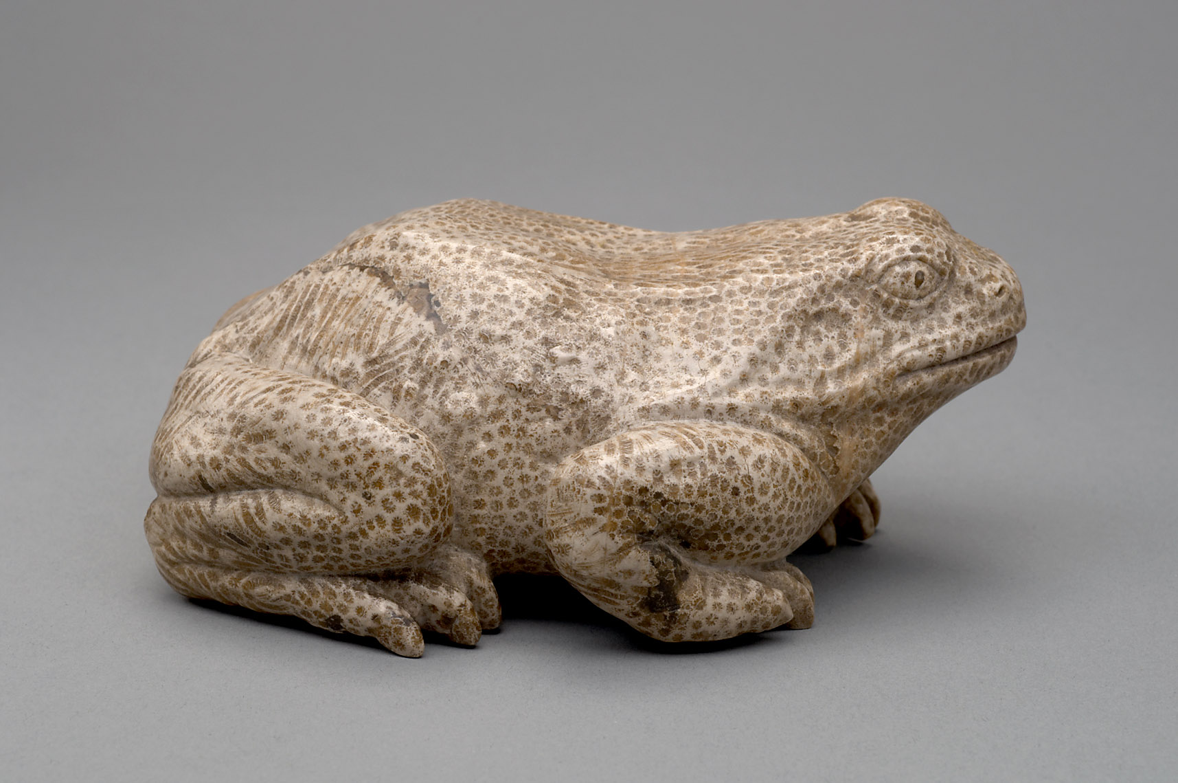Kröte, 1600-1619