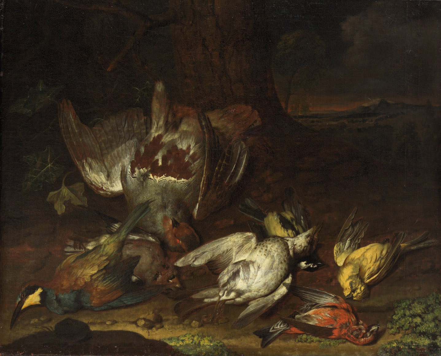 Totes Geflügel, Philipp Ferdinand de Hamilton, 1749