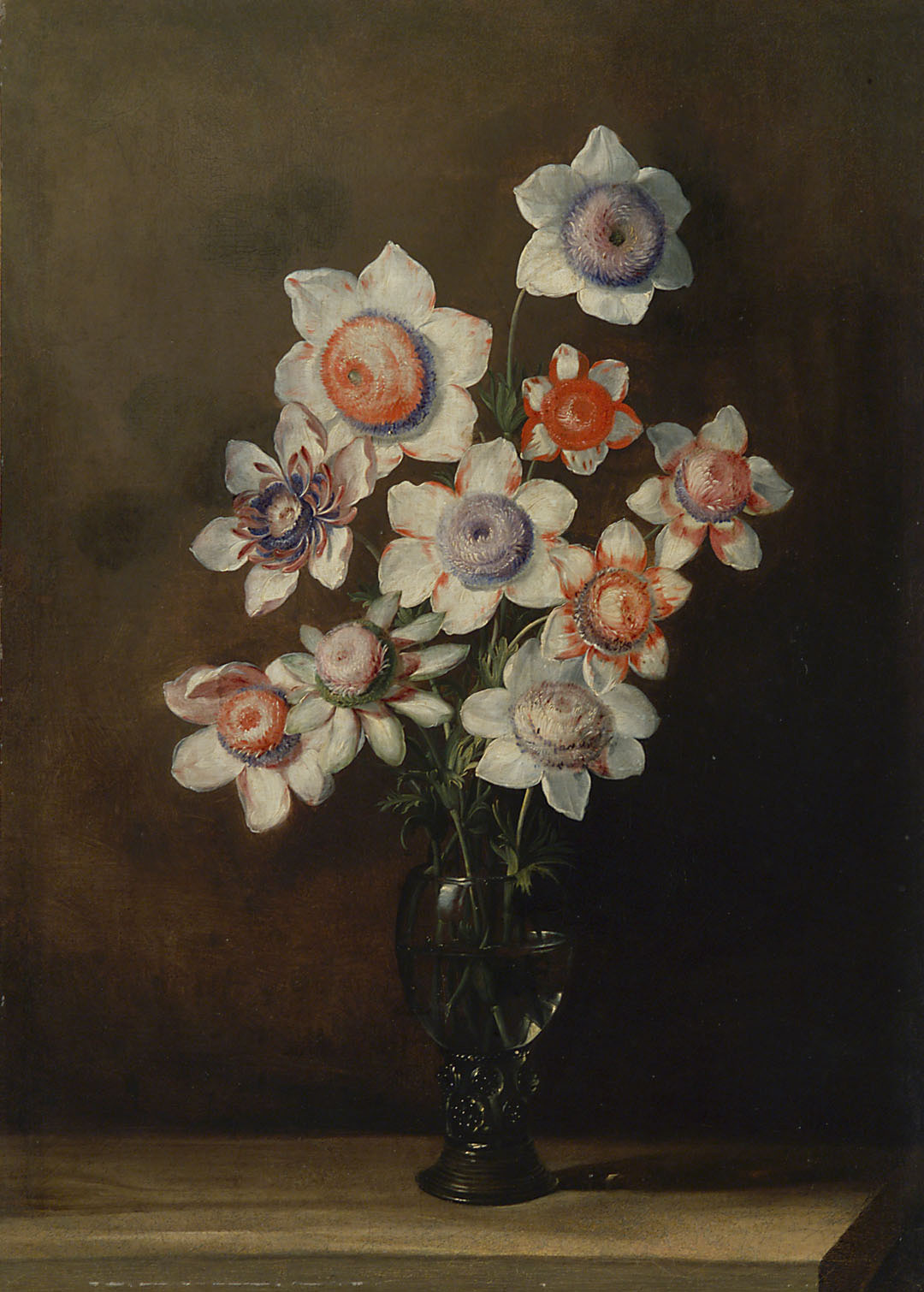 Glas mit Anemonen, Jan van den Hecke, 1650-1656