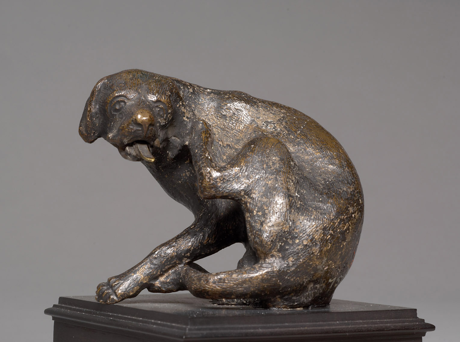 Hockender, sich kratzender Hund, 1525-1550