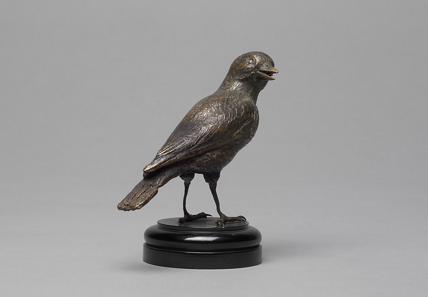 Vogel, 1590-1596