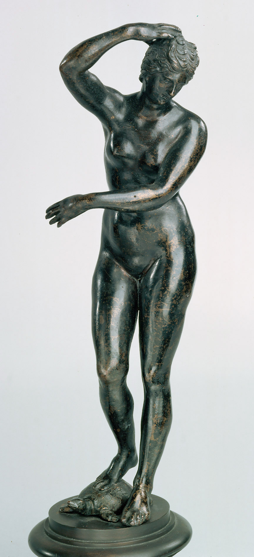 Venus, 1550