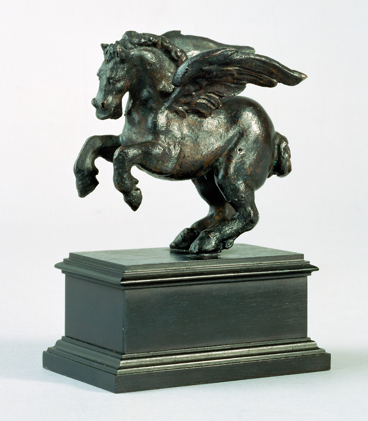 Pegasos, 1545-1555
