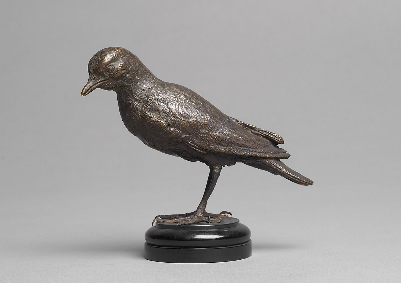 Vogel, 1590-1596