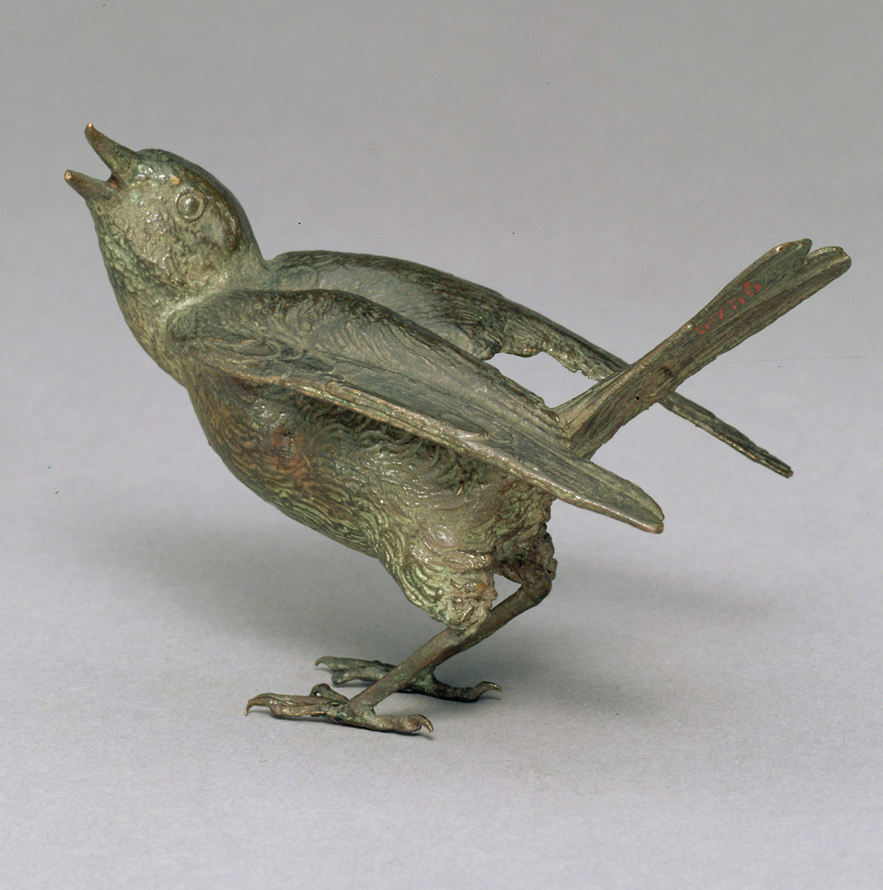 Vogel (Teichrohrsänger), 1590-1596