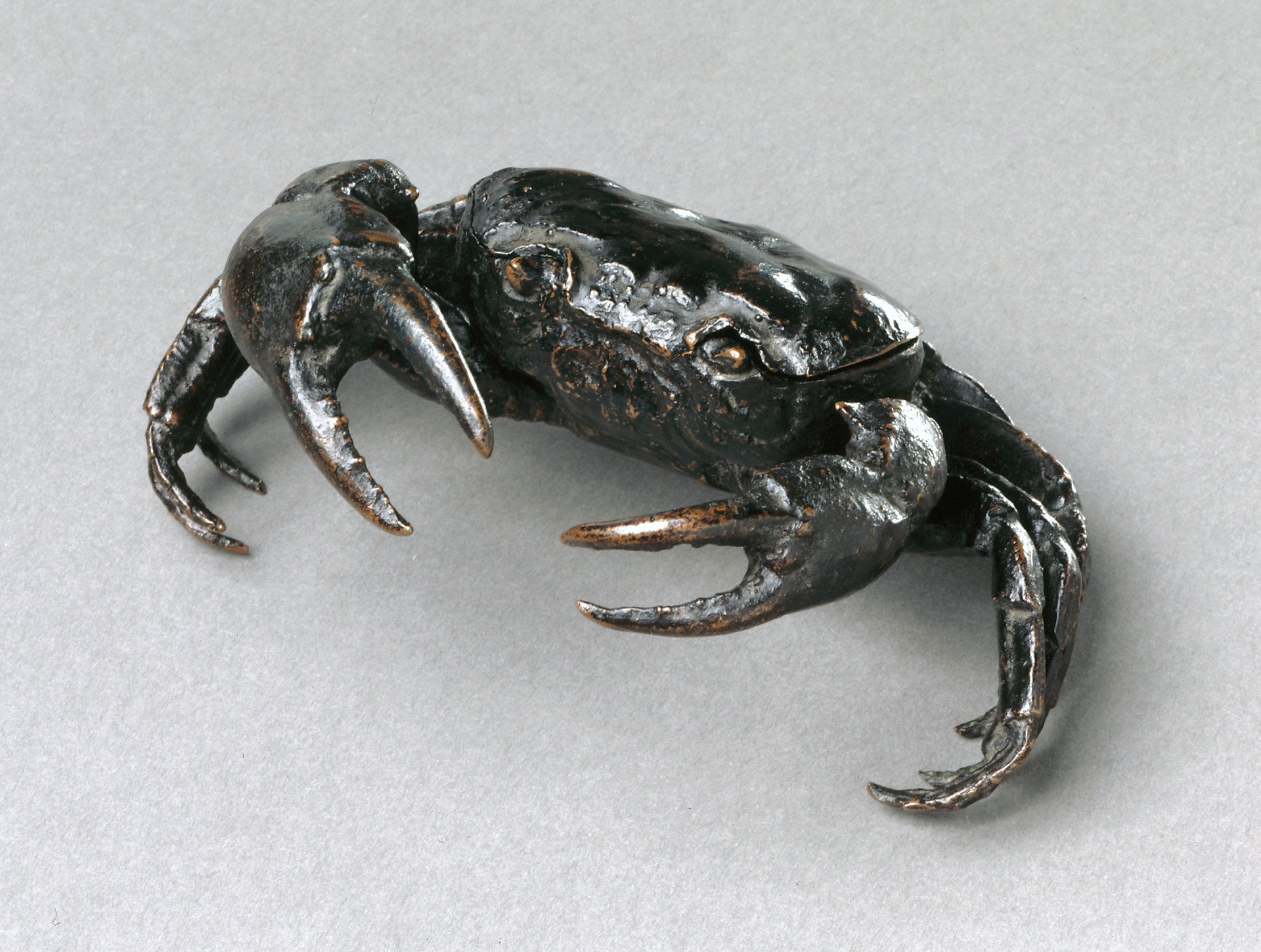 Taschenkrebs (Naturabguss), 1500-1520