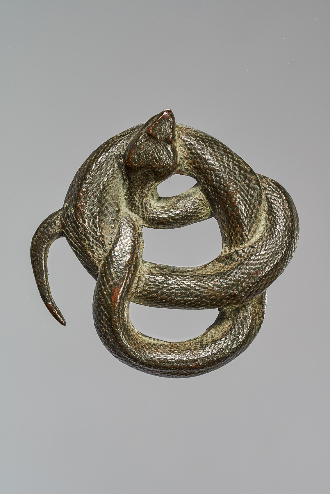 Schlange, 1500-1550