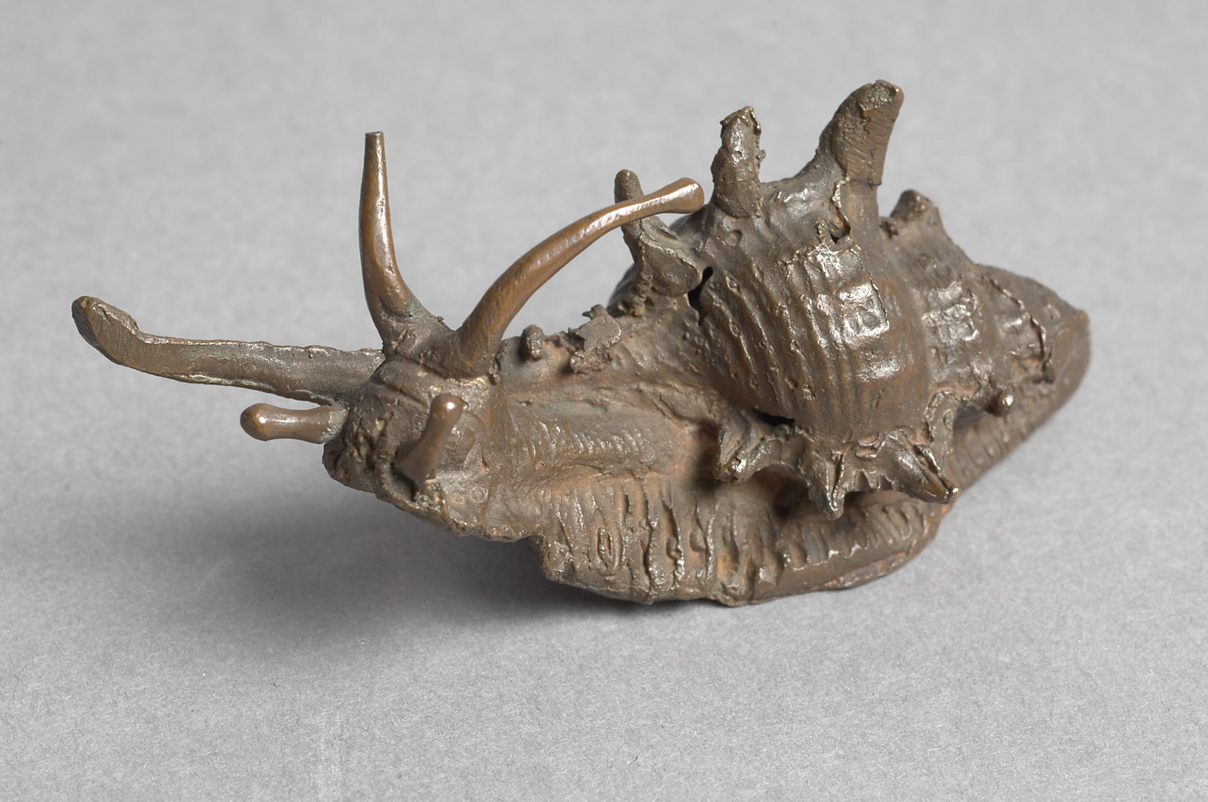 Seeschnecke, 1500-1515