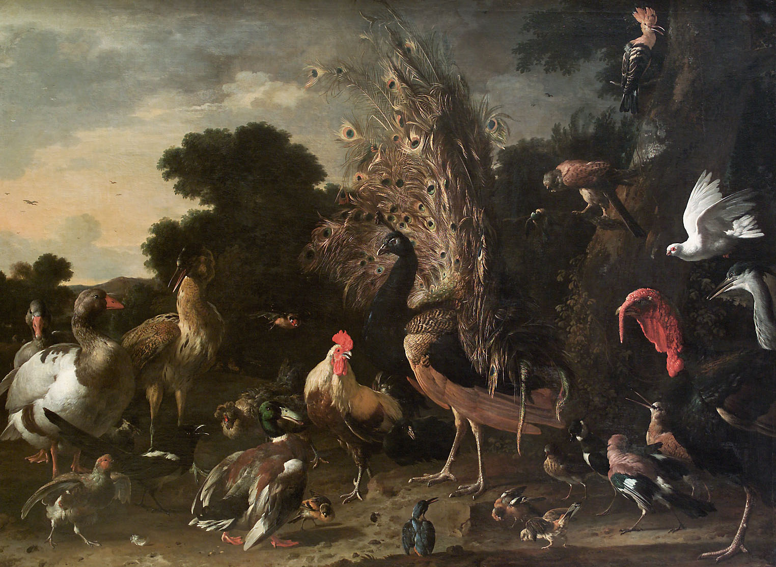 Geflügelhof, Melchior d’ Hondecoeter, 1675-1700